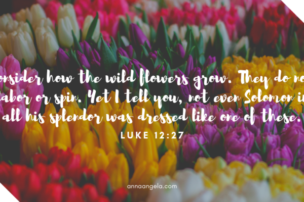 When God Provides Lilies After the Fire