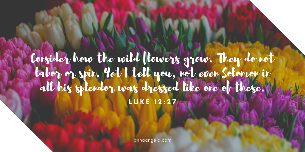 When God Provides Lilies After the Fire